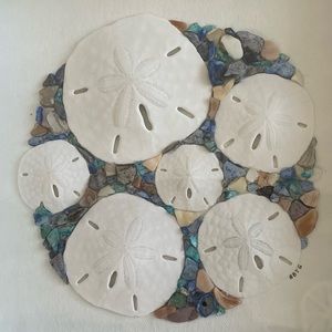 Sand Dollar Collage Beach Tropical Coastal Shadowbox